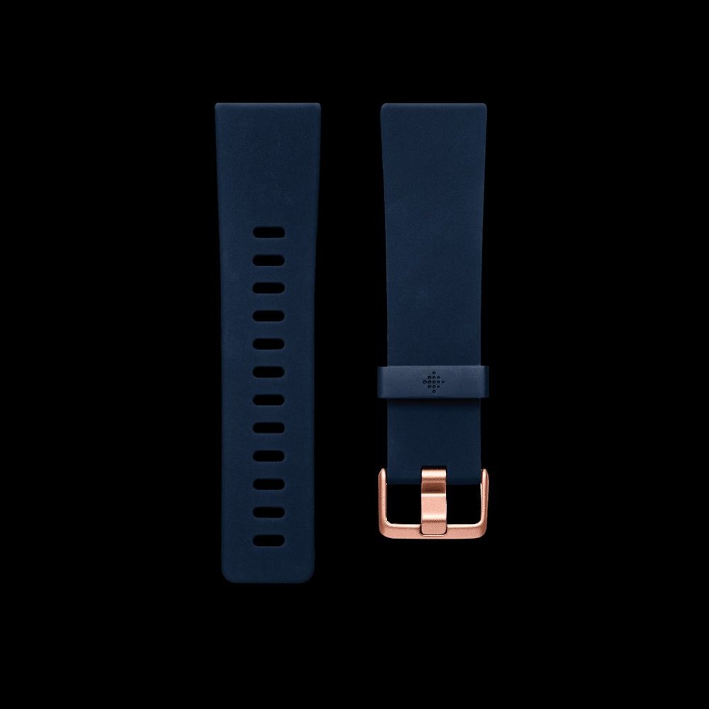 Fibit Versa 2 Silicone Bands = Blue